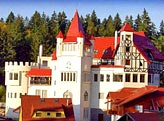 Hotel House of Dracula Poiana Brasov