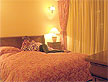 Picture 3 of Hotel Tresor Timisoara